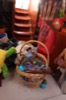 resIMG_20150405_071024_4322.JPG
